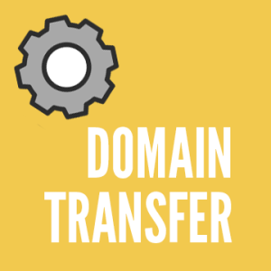 DNS Transfer